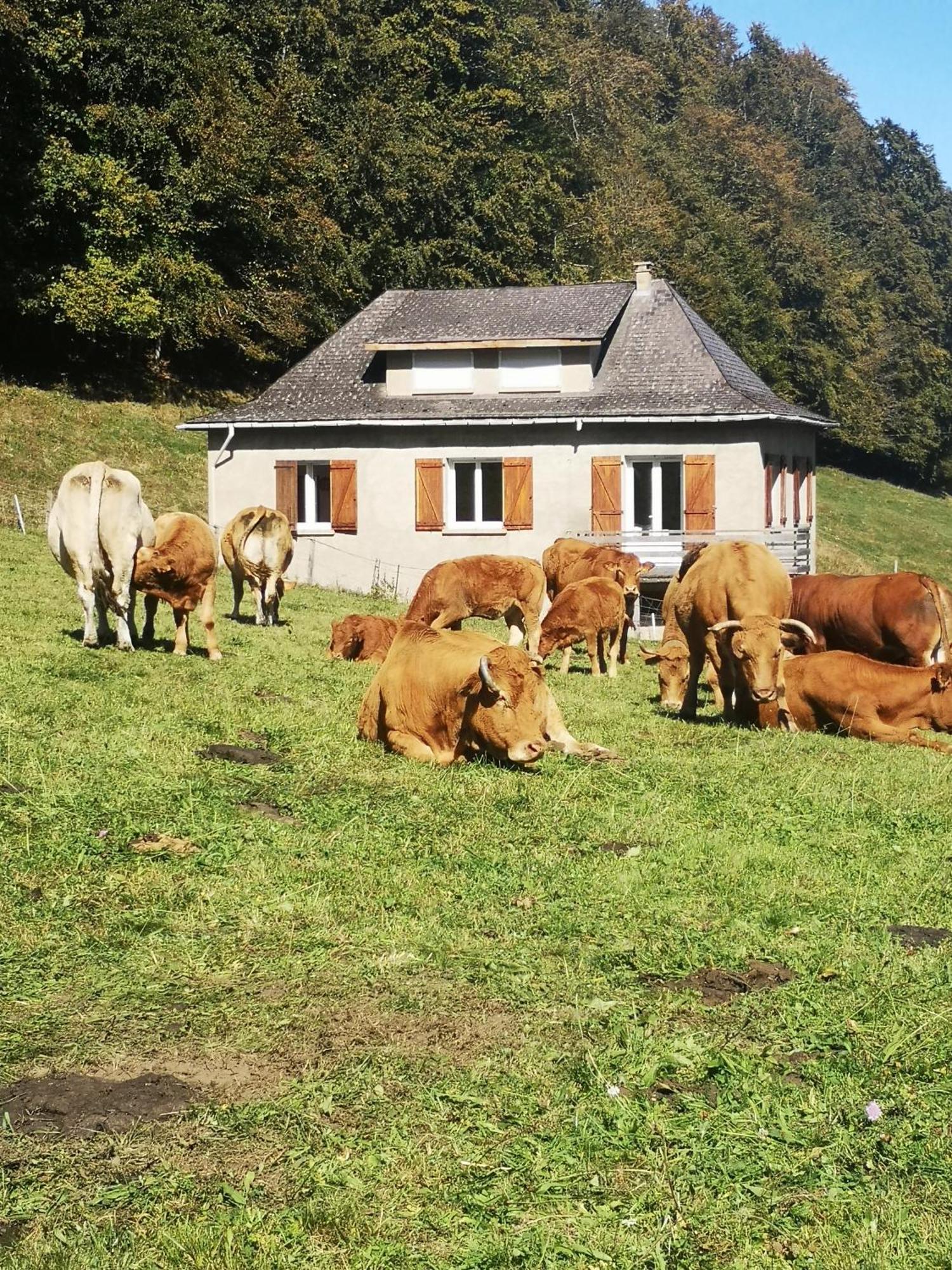 Tourmalet Campan Exterior foto